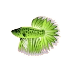 Green Spring Betta